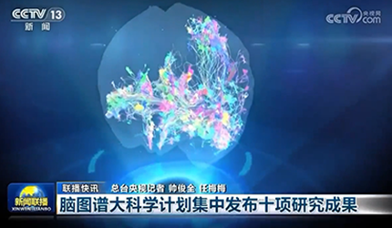 【新聞聯(lián)播】腦圖譜大科學計劃集中發(fā)布十項研究成果